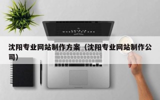 红河沈阳专业网站制作方案（沈阳专业网站制作公司）